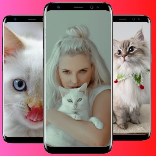 fotos de gatitos Install on Windows