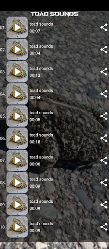toad sounds Screen 2