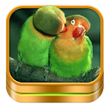 Bird Ringtones and Wallpapers icon