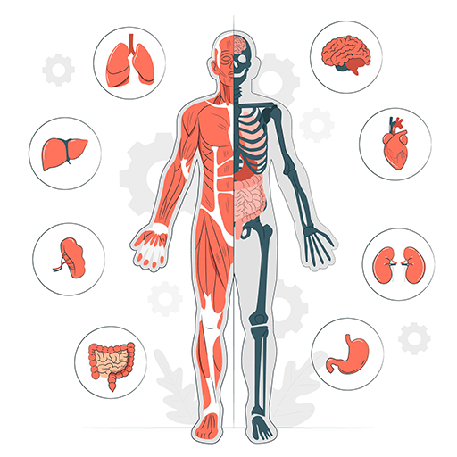 عاطف عدلي في الاحياء