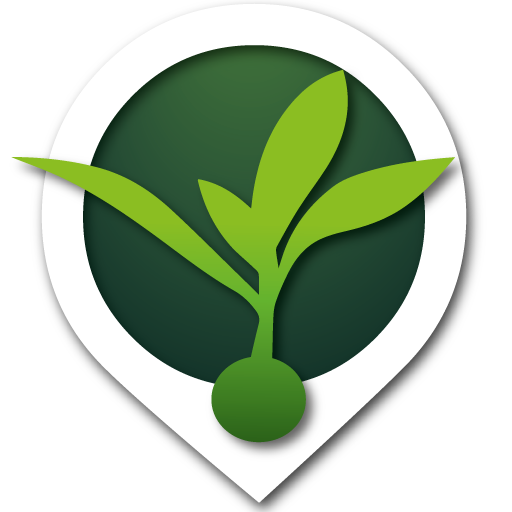 CampoClick logo