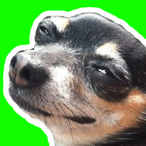 Dogs Stickers memes WASticker  Icon