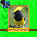 Master Burung Gelatik Mp3 icon