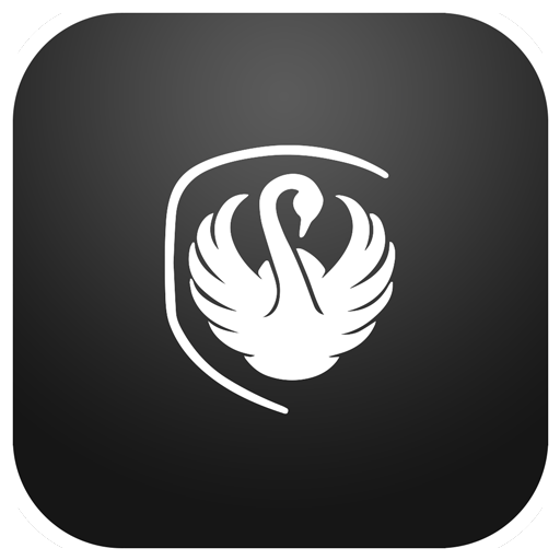 Dansk Limousine Service logo