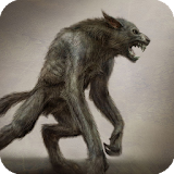 Werewolf Pack 3 Live Wallpaper icon