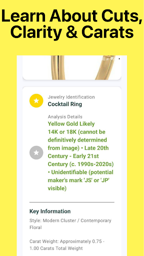 Jewelry Identifier - Gem id