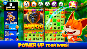 Game screenshot Xtreme Bingo! Slots Bingo Game hack