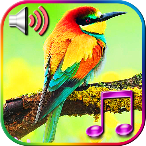 Birds Sound Ringtones 1.4 Icon