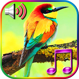 Icon image Birds Sound Ringtones