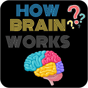 How Brain Works