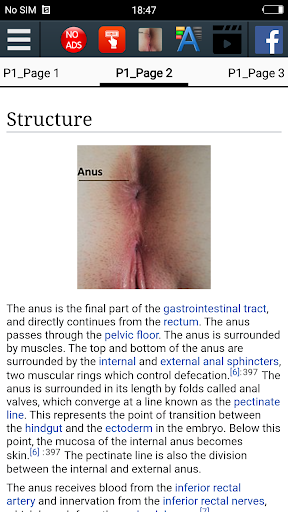 Anus Anatomy  Educational App