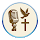 Prayers - The Voice of Grace