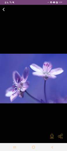 Android application زراعة الورد screenshort
