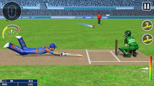 World Champion 3D Cricket Game