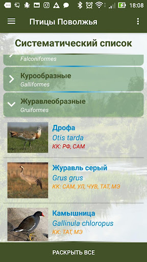 Птицы Поволжья Screen 3