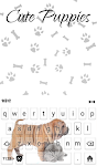screenshot of Cute Puppies Wallpaper Theme