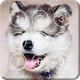 Cute Hasky Puppies Screen Lock icon