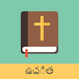 Telugu English Bible icon