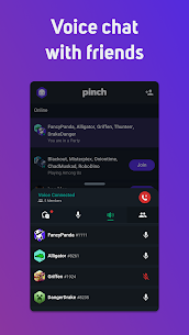 Pinch – Voice Chat for Gamers, Friends  Teammates Apk 2
