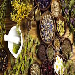 Icon image Herbal benefits