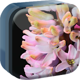Spring Flowers Live Wallaper icon