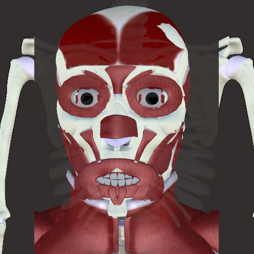 Anatomy 360- Atlas logo