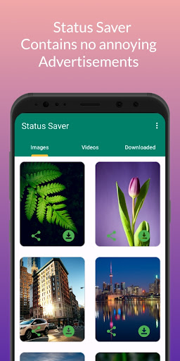 Android application Status Saver screenshort