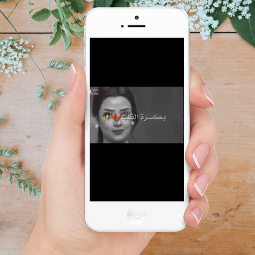 حالات رضوى الشربيني واتس