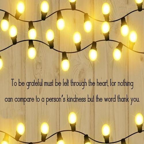 Daily Thank You Quotes