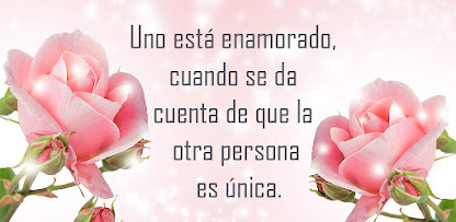 Imagen de la captura de pantalla