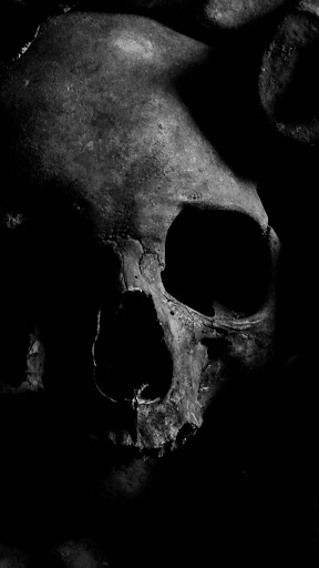Android application demon skull wallpaper screenshort