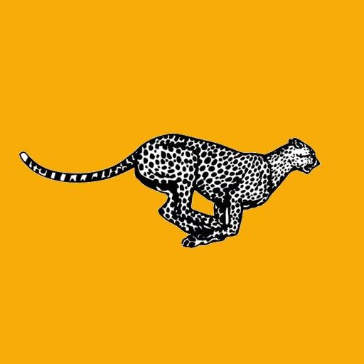 Cheetah Transportation (CTMS) logo