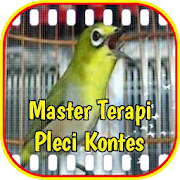 Master Terapi Pleci Kontes  Icon