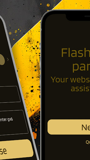FlashPage parser_10