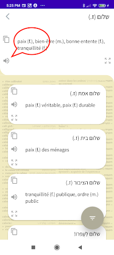 Hébreu-Français Grand Dict. Screen 3