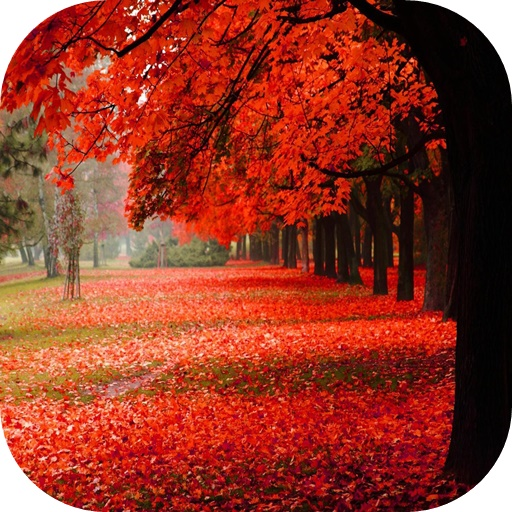 будний день