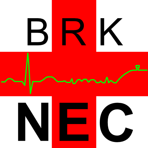 Rett4NEC - BRK Neustadt logo