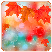 Maple Droplets live wallpaper