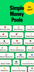 Braid  Money Pools Mod Apk Download 3