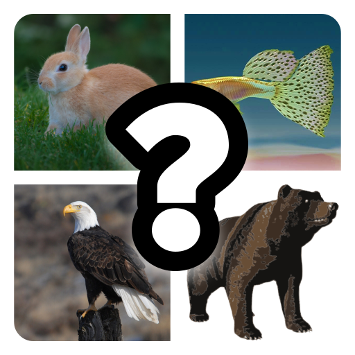 Guess The Animal!