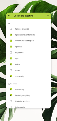 Städbolaget Screen 3