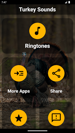 Android application Turkey Ringtones screenshort