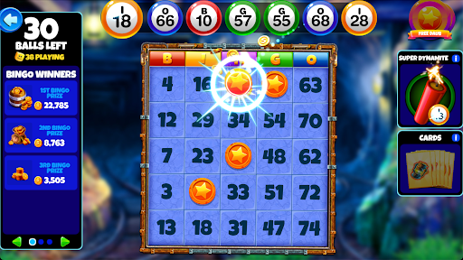Slot for bingo