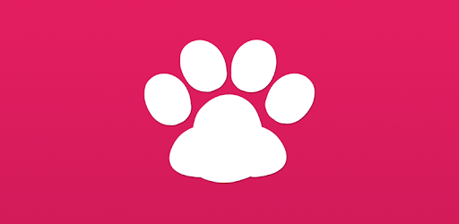 My Cat - Health & Care