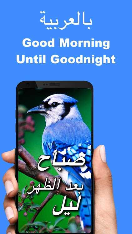 Arabic Good Morning to Night - 9.12.00.8 - (Android)