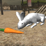 Real Rabbit Simulator icon
