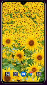 Captura de Pantalla 2 Sunflower Wallpaper android