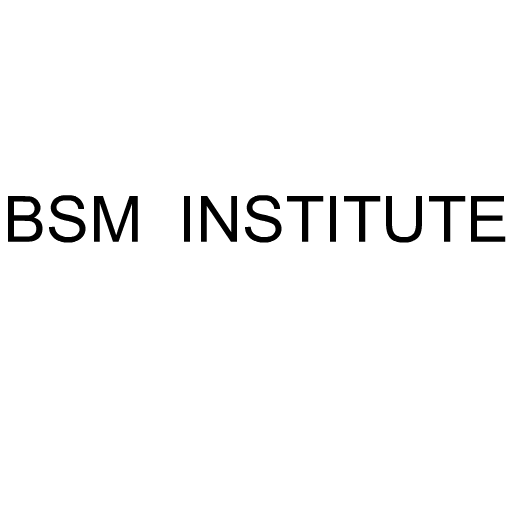 BSM INSTITUTE logo