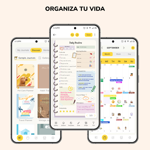 Vista previa de la aplicación