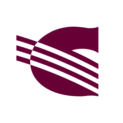 Солид Брокер. Личный кабинет logo